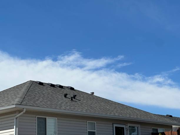 Best Roof Coating and Sealing  in Montrose, MN